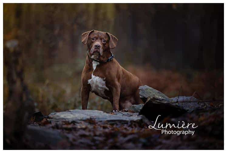 Lumiere-Photography-family-and-newborn-photos_0129
