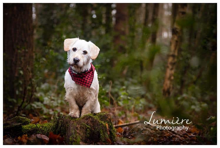 Lumiere-Photography-family-and-newborn-photos_0131