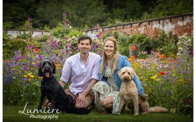 Dogs photoshoot at Elvaston Castle