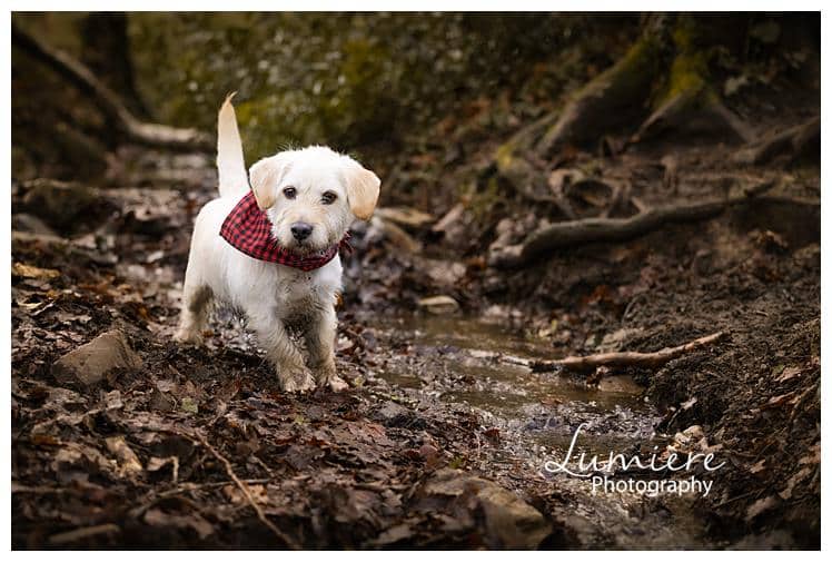 a wocker photoshoot in the Outwoods