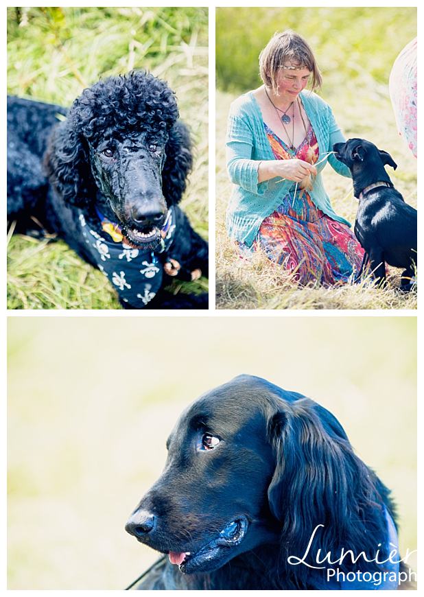 Handfasting- a pagan wedding near Loughborough